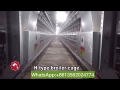 Full Automatic Broiler Chicken Cage H Frame Battery Type For Meat Chicken Farming Equipment