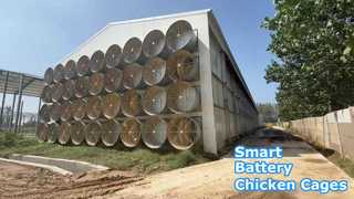 سوله مرغ لایه ای با باتری کنترل شده با محیط زیست