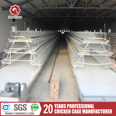 A Type H Type Automatic chicken egg  cage laying hens cage poultry farm equipment