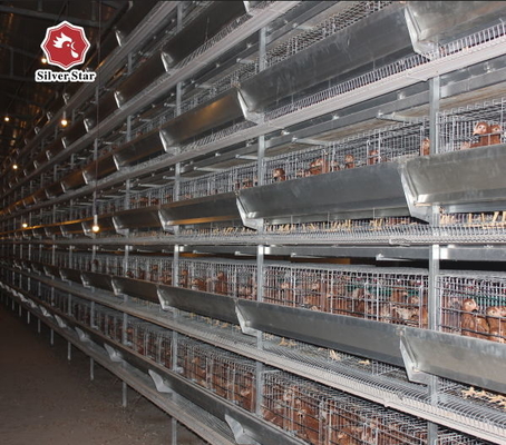 65*62.5 Cm H Type Battery Chicken Cage Big Size