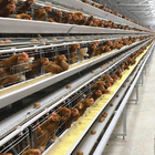 Galvanized Steel Broiler Poultry Farm Equipment H Type 10000 Birds Battery Broiler Poultry Chicken Cage