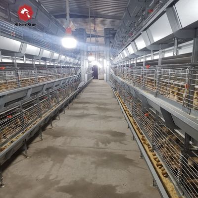 Fully Automatic H Type Broiler Chicken Cage with High Density Breeding and Hot Dip Galvanizing for Modern Poultry Farms