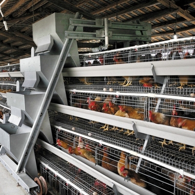 Poultry 90 Chickens / Set Layer Chicken Cage For Chicken Feeding