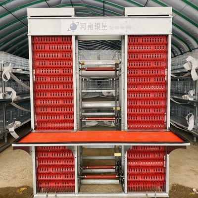 H Frame Hot Dip Galvanized Egg Laying Hens 10000 Birds Chicken Egg Layer Cage