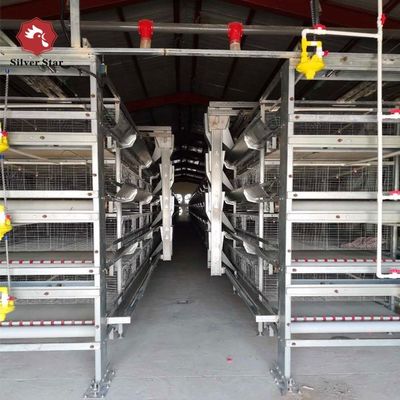 Automated H-Type Broiler Cage System with Hot-Dip Galvanizing for High-Density Farming & Automatic Manure Cleaning