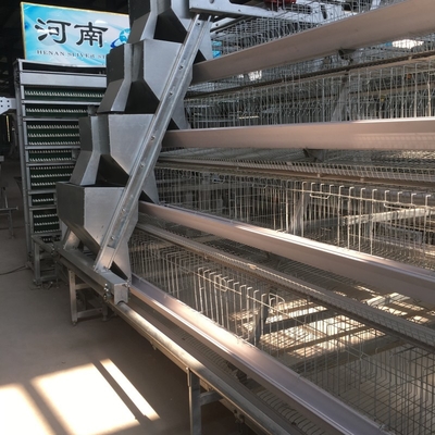 160 Birds / Set Full Automatic Battery Cage System Poultry Farming Equipment