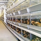 90 Chickens Poultry Farm House Layer Battery Cage For Laying Hen