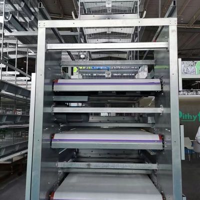 Battery Layer Cages hot-dip galvanized steel for Poultry Farm Egg Chicken Cage Equipment