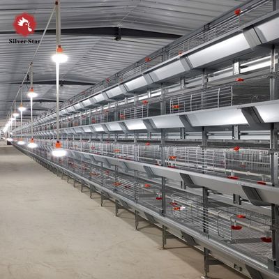 Automated H-Type Broiler Battery Cage System with Hot-Dip Galvanized Steel for High-Density Poultry Farming
