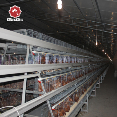 H Type Layer Chicken Cage Equipment 4 Tier 5 Tier Farm