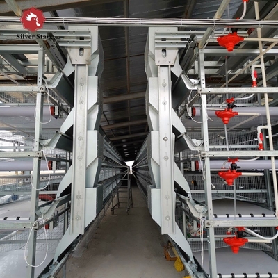 Automatic Egg Layer Chicken Battery Cage 3 Tiers 4 Tiers H Type Poultry Feeding Equipment