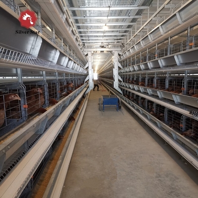 Poultry H Type Cages For Laying Hens Chicken Farm Equipment