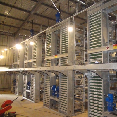 Durable and Sturdy High-Density Hot Galvanized Egg Layer Chicken Cage for Your Poultry Farm
