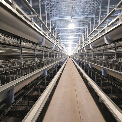 Hot-Dip Galvanized Battery Chicken Cage with Automatic Feeding System for Large Poultry Farm Project (3-8 Tiers)
