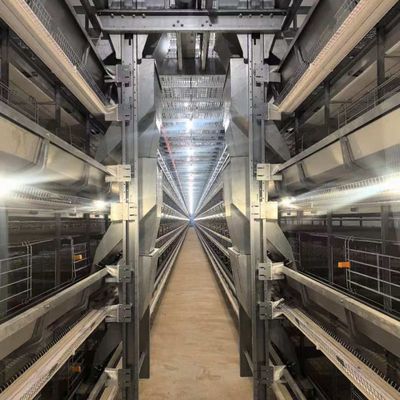 Standard Layer Chicken Cage for Optimal Space Utilization and Durable Poultry Rearing