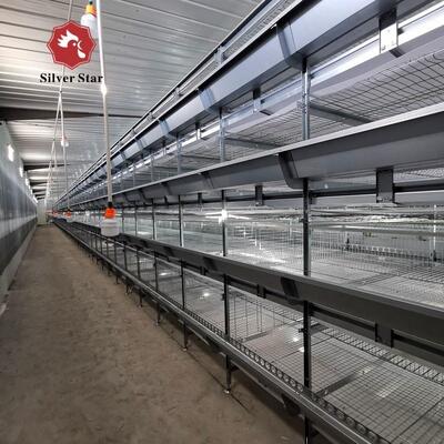 Automatic H-Type Layer Battery Cage System for Mega Farms Factory-Direct Commercial H-Type Layer Cage for Poultry Farm