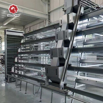 A-type Layer Chicken Cage with Automatic Feeding System and Long Lasting Corrosion Resistance for Space Utilization in Poultry Farms