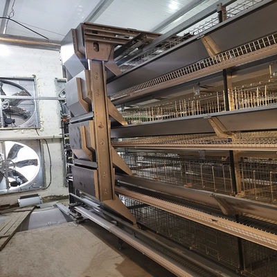 H-Type Automatic Battery Cage System with Hot Dip Galvanizing and Stackable Modular Design for Commercial Poultry Farming