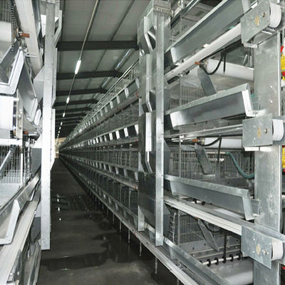 H-Type Automatic Battery Cage System with Hot Dip Galvanizing and Stackable Modular Design for Commercial Poultry Farming