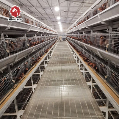 H Type Q235 Laying Egg Layer Chicken Cage 54-240 Birds Capacity