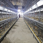 Battery 192 Birds Layer Hen Cage , SGS W1200mm Broiler Poultry Equipment