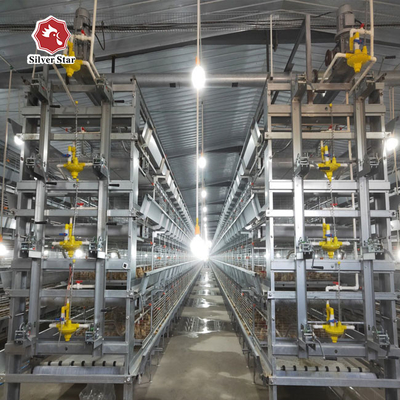 85*62.5*50 Cm Size Broiler Chicken Cage H Type