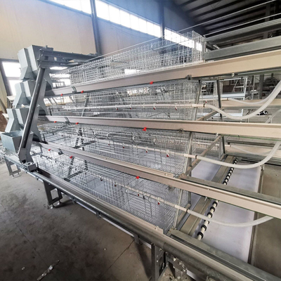 A Type Baby Layer Chicken Brooder Cage Automatic