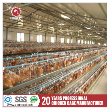 4 Tiers Layer Chicken Cage Gantry Feeding For Laying Hens