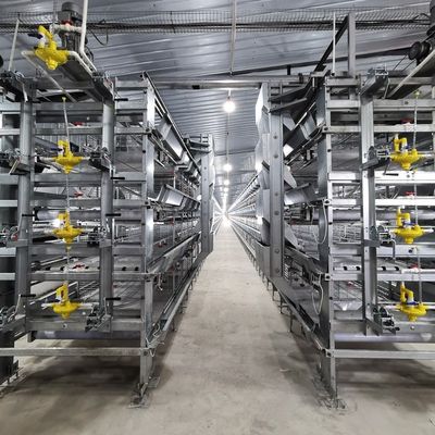5-Tier Hot-Dip Galvanized H-Type Broiler Chicken Cage with 170 Birds Capacity