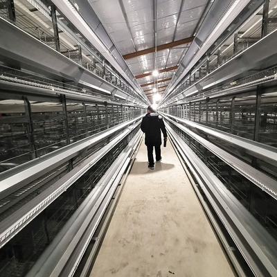 Durable and Sturdy High-Density Hot Galvanized Egg Layer Chicken Cage for Your Poultry Farm