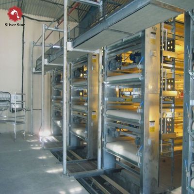 Precision-Engineered H-Type Meat Broiler Cage System | High-Yield Commercial Poultry Production Equipment