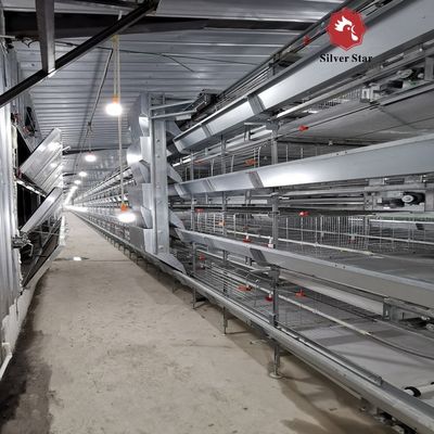 Full Automatic H Type Broiler Cage System with Hot Galvanized Steel for 20 Years Service