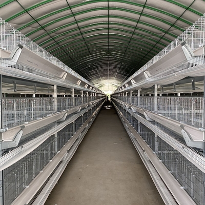 160 Birds / Set Full Automatic Battery Cage System Poultry Farming Equipment