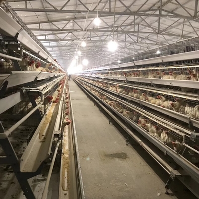 Durable and Sturdy High-Density Hot Galvanized Egg Layer Chicken Cage for Your Poultry Farm