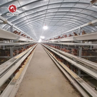 H Type Battery Layer Chicken Cages Automatic Egg Poultry Farms 10 Tiers