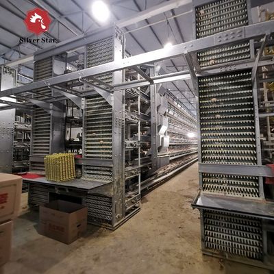 سیستم قفس باتری اتوماتیک مرغ گوشتی نوع H برای مزارع تجاری مرغ گوشتی