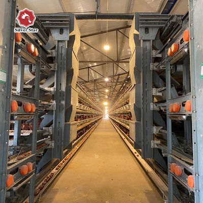 H-Type اتوماتیک سیستم قفس باتری برای لایه و broiler.