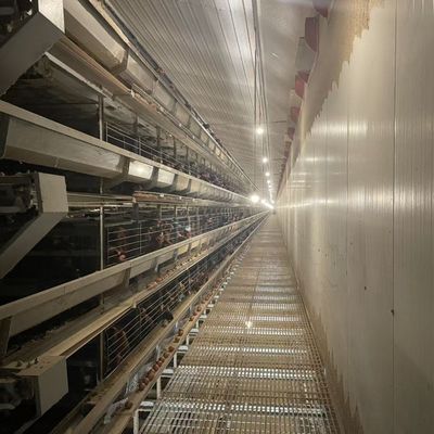 Battery Layer Cages hot-dip galvanized steel for Poultry Farm Egg Chicken Cage Equipment