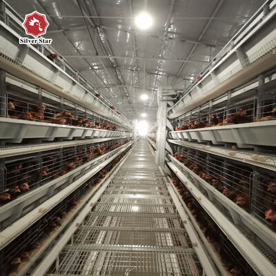 قفس مرغ نوع H با عمر 20 ساله برای 54-216 مرغ در 3-8 طبقه