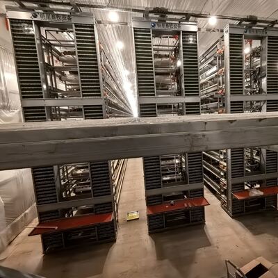 Heavy Battery Chicken Cage Designed to Optimize Egg Production and Enhance Poultry Health in Commercial Farms