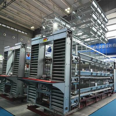 Hot-Dip Galvanized Layer Chicken Cage with Automatic Feeding and Egg Collection for Poultry Farming