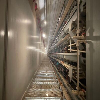 باتری قفس مرغ مقاوم در برابر خوردگی تجهیزات پرنده ماندگار مناسب برای مزارع بزرگ