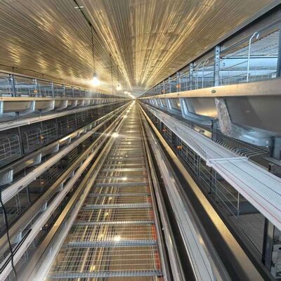 قفس مرغ 4 طبقه با تغذیه مناسب برای خانه مرغ لایه فشرده و عملیات تغذیه ساده