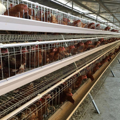 H Shaped Small Stacked Layer Chicken Cage Can Be Customized