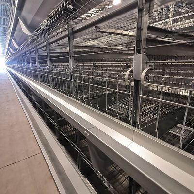 سیستم قفس باتری H-Type Broiler با گالوانیزهای گرم، تشک های پلاستیکی نرم و تمیز کردن خودکار کود کمربند PP