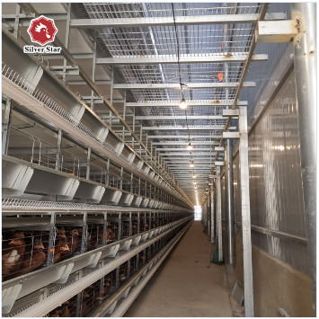 Broilers 4 Tiers Chicken Poultry Cage Automatic Manure Removal System