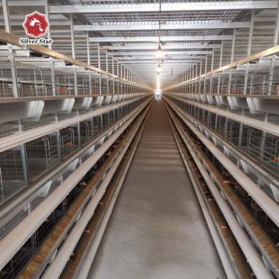 Modern Farm Q235A Steel Wire Poultry Cage For 200 Birds