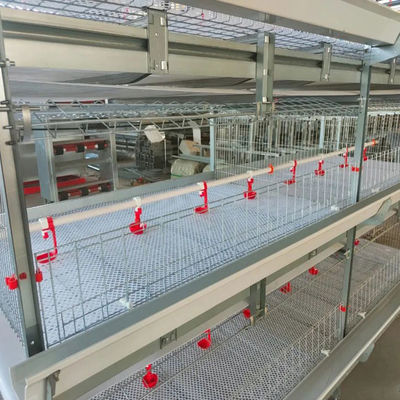 Automated H-Type Meat Broiler Cage System - Hot-Dip Galvanized High-Density Commercial Poultry Farming Equipment